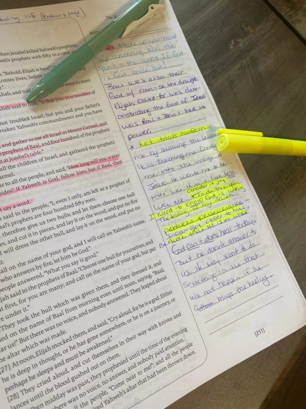 Bible in a Year Study Plan | Verbum 365