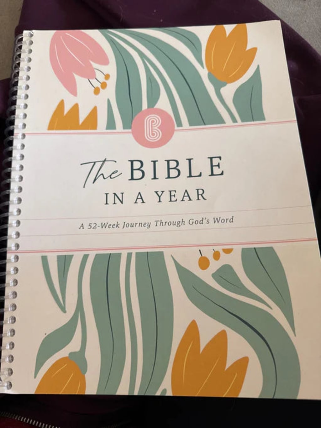 Bible in a Year Study Plan | Verbum 365